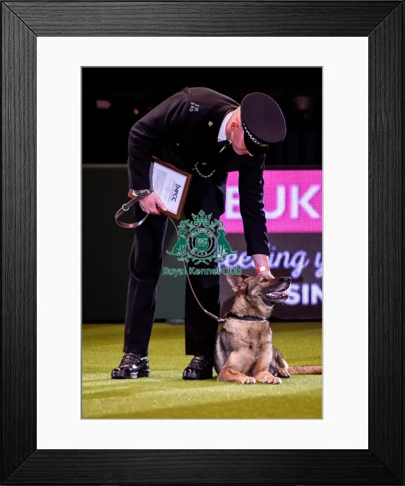 Framed Print : Crufts 2019 - Day Four, NEC, UK - 10 Mar 2019