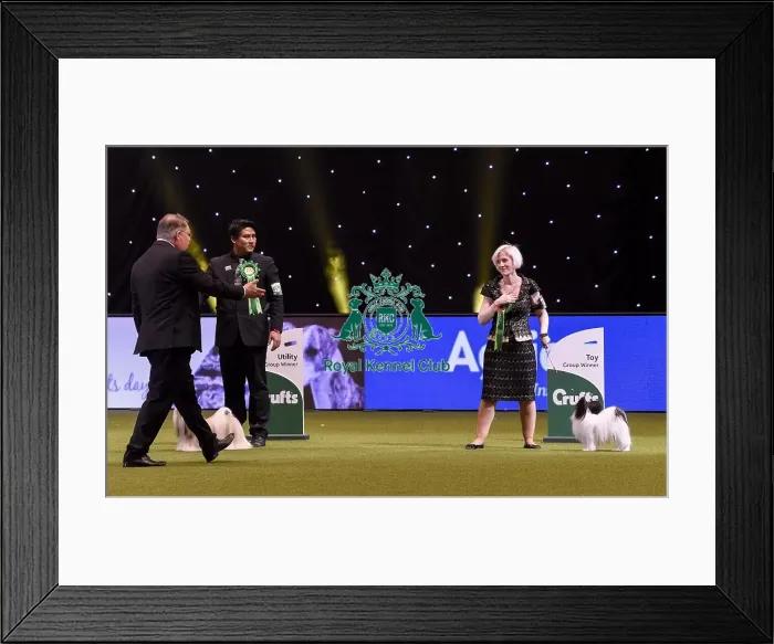 Framed Print : Crufts 2019 - Best in Show Framed Print : Crufts 2019 - Best in Show