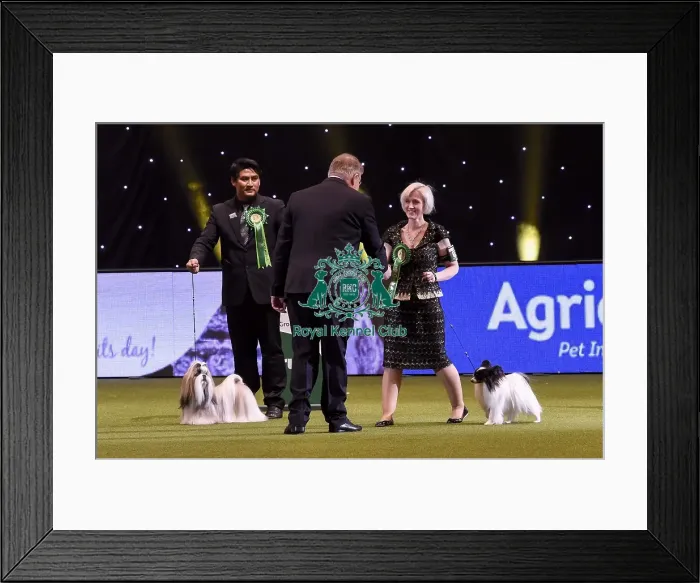 Framed Print : Crufts 2019 - Best in Show Framed Print : Crufts 2019 - Best in Show