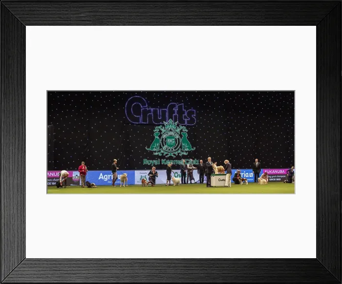 Framed Print : Crufts 2019 - Day Four, NEC, UK - 10 Mar 2019 Framed Print : Crufts 2019 - Day Four, NEC, UK - 10 Mar 2019