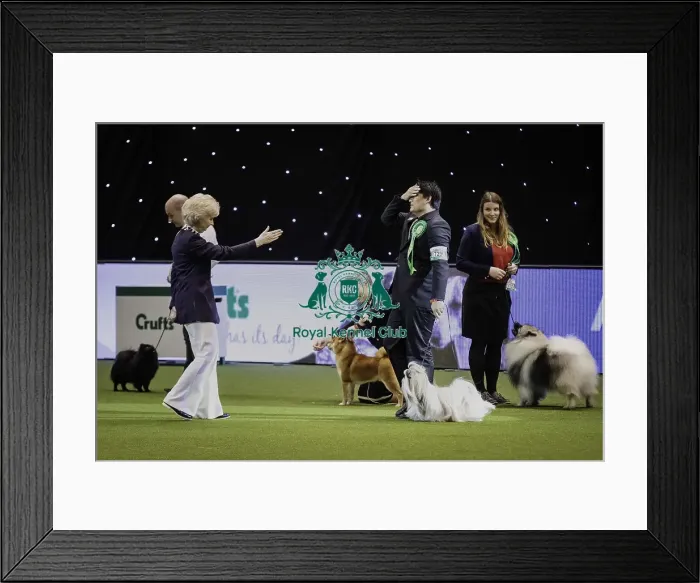Framed Print : Crufts 2019 - Best of Breed  /  Utility