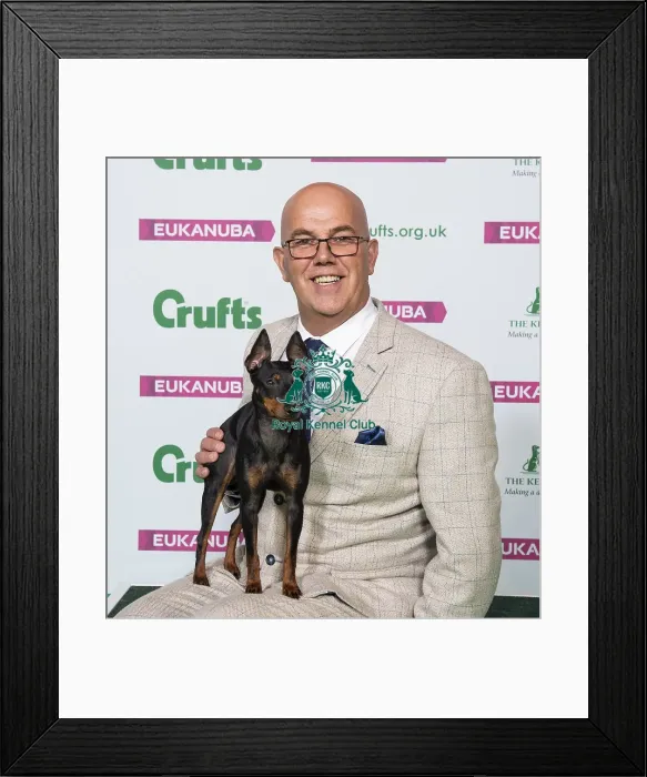Framed Print : Crufts 2019 - Best of Breed / Toy Framed Print : Crufts 2019 - Best of Breed / Toy
