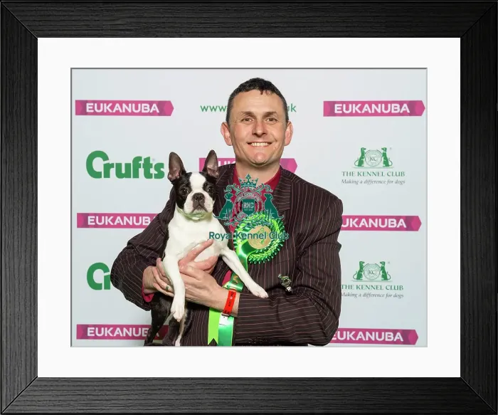 Framed Print : Crufts 2019 - Best of Breed / Utility Framed Print : Crufts 2019 - Best of Breed / Utility