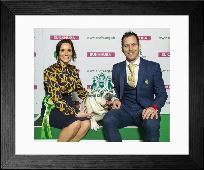 Framed Print : Crufts 2019 - Best of Breed / Utility Framed Print : Crufts 2019 - Best of Breed / Utility