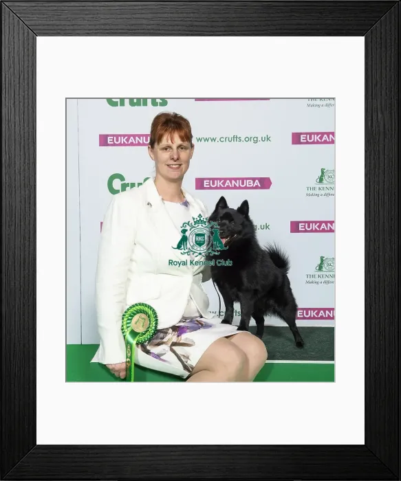 Framed Print : Crufts 2019 - Best of Breed / Utility Framed Print : Crufts 2019 - Best of Breed / Utility