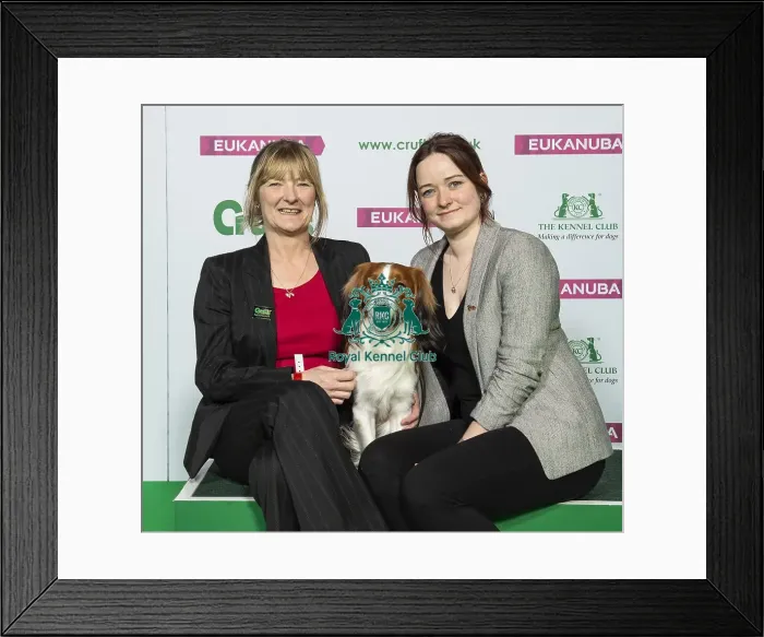 Framed Print : Crufts 2019 - Best of Breed  /  Utility
