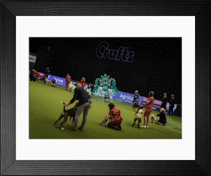 Framed Print : Crufts 2019 - Day Four, NEC, UK - 10 Mar 2019 Framed Print : Crufts 2019 - Day Four, NEC, UK - 10 Mar 2019