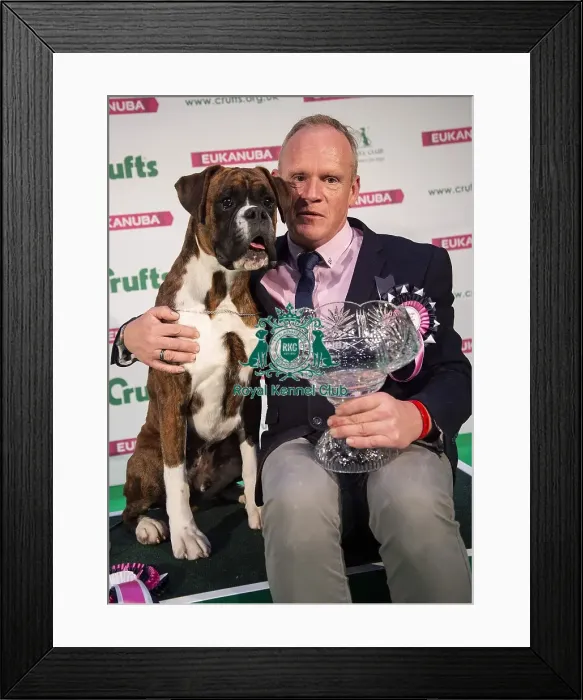 Framed Print : Crufts 2019 - Day Four, NEC, UK - 10 Mar 2019 Framed Print : Crufts 2019 - Day Four, NEC, UK - 10 Mar 2019