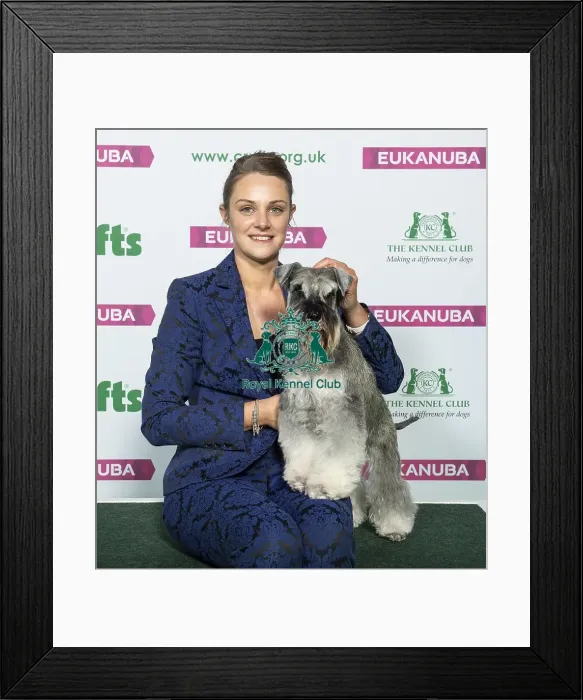 Framed Print : Crufts 2019 - Best of Breed / Utility Framed Print : Crufts 2019 - Best of Breed / Utility