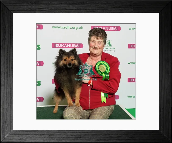 Framed Print : Crufts 2019 - Best of Breed / Utility Framed Print : Crufts 2019 - Best of Breed / Utility