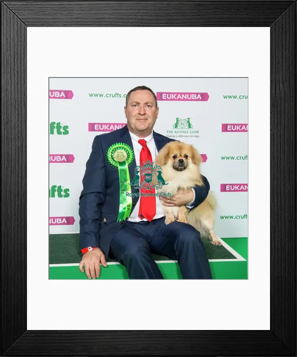 Framed Print : Crufts 2019 - Best of Breed / Utility Framed Print : Crufts 2019 - Best of Breed / Utility