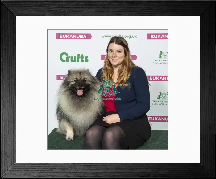 Framed Print : Crufts 2019 - Best of Breed  /  Utility