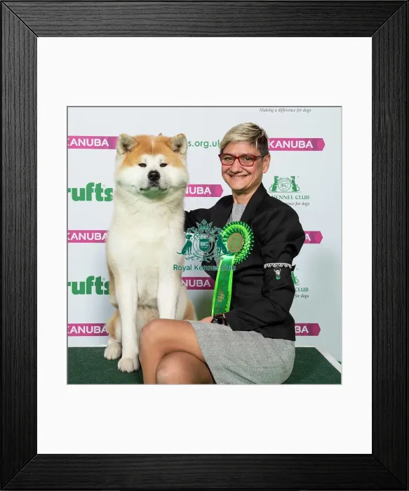 Framed Print : Crufts 2019 - Best of Breed / Utility Framed Print : Crufts 2019 - Best of Breed / Utility