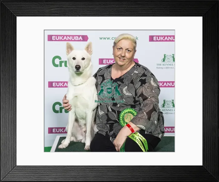 Framed Print : Crufts 2019 - Best of Breed / Utility Framed Print : Crufts 2019 - Best of Breed / Utility