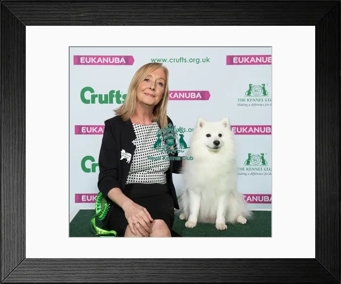 Framed Print : Crufts 2019 - Best of Breed / Utility Framed Print : Crufts 2019 - Best of Breed / Utility