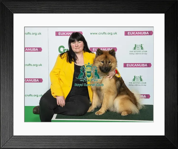 Framed Print : Crufts 2019 - Best of Breed / Utility Framed Print : Crufts 2019 - Best of Breed / Utility