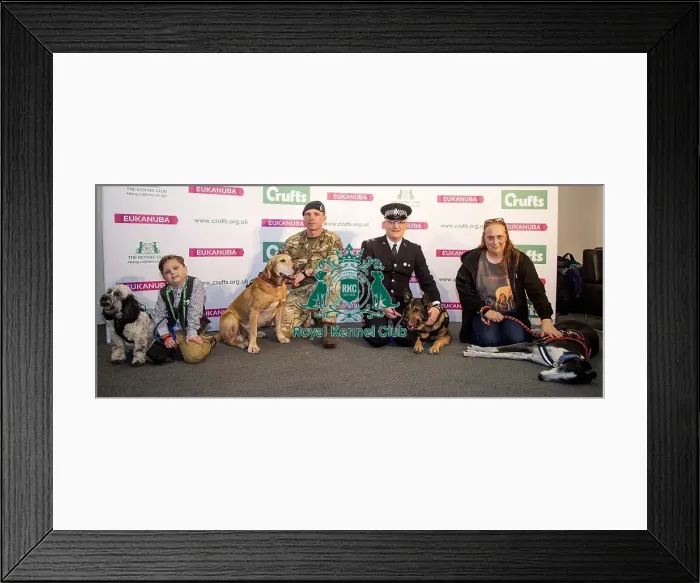 Framed Print : Crufts 2019 - Day Four, NEC, UK - 10 Mar 2019 Framed Print : Crufts 2019 - Day Four, NEC, UK - 10 Mar 2019