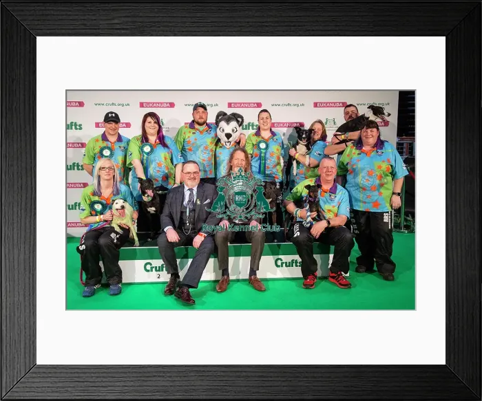 Framed Print : Crufts 2019 - Day Four, NEC, UK - 10 Mar 2019 Framed Print : Crufts 2019 - Day Four, NEC, UK - 10 Mar 2019