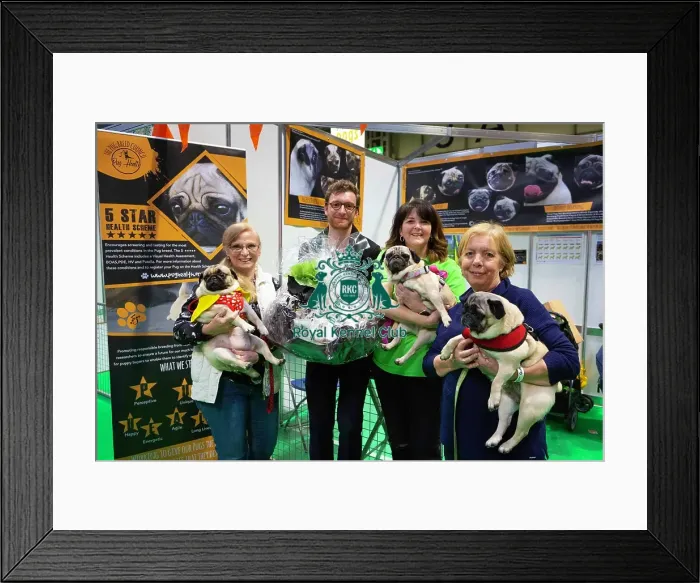 Framed Print : Crufts 2019 - Day Four, NEC, UK - 10 Mar 2019 Framed Print : Crufts 2019 - Day Four, NEC, UK - 10 Mar 2019