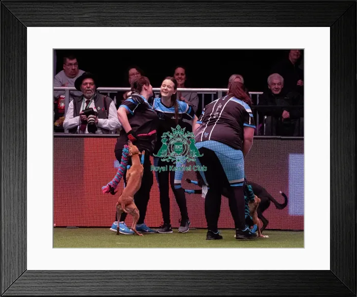 Framed Print : Crufts 2019 - Day Four, NEC, UK - 10 Mar 2019 Framed Print : Crufts 2019 - Day Four, NEC, UK - 10 Mar 2019