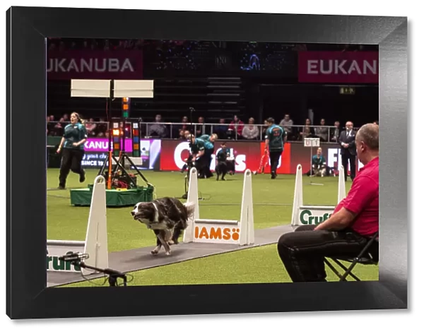 Crufts 2019 - Day Four, NEC, UK - 10 Mar 2019