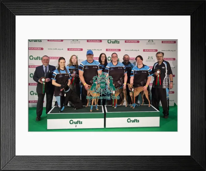 Framed Print : Crufts 2019 - Day Four, NEC, UK - 10 Mar 2019 Framed Print : Crufts 2019 - Day Four, NEC, UK - 10 Mar 2019