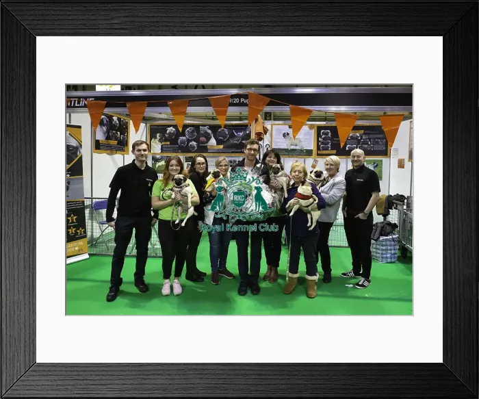 Framed Print : Crufts 2019 - Day Four, NEC, UK - 10 Mar 2019 Framed Print : Crufts 2019 - Day Four, NEC, UK - 10 Mar 2019