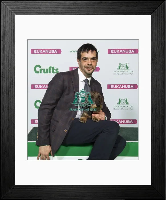 Framed Print : Crufts 2019 - Best of Breed / Hound Framed Print : Crufts 2019 - Best of Breed / Hound