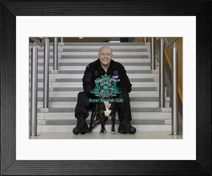 Framed Print : Crufts 2019 - Day Four, NEC, UK - 10 Mar 2019 Framed Print : Crufts 2019 - Day Four, NEC, UK - 10 Mar 2019