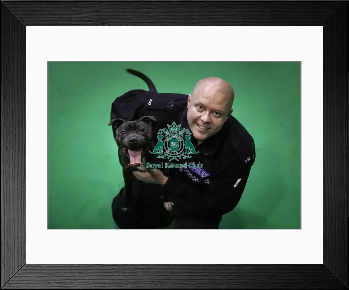 Framed Print : Crufts 2019 - Day Four, NEC, UK - 10 Mar 2019 Framed Print : Crufts 2019 - Day Four, NEC, UK - 10 Mar 2019