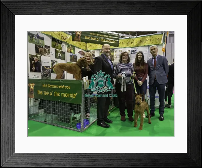 Framed Print : Crufts 2019 - Day Four, NEC, UK - 10 Mar 2019