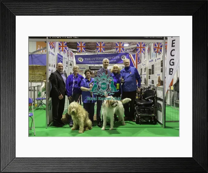 Framed Print : Crufts 2019 - Day Four, NEC, UK - 10 Mar 2019 Framed Print : Crufts 2019 - Day Four, NEC, UK - 10 Mar 2019