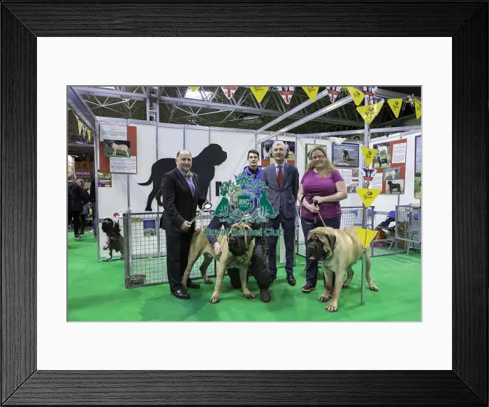 Framed Print : Crufts 2019 - Day Four, NEC, UK - 10 Mar 2019