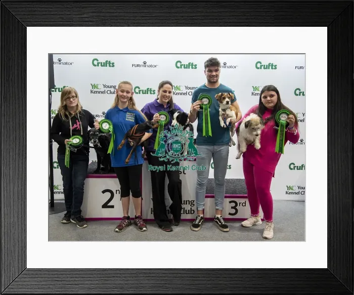 Framed Print : Crufts 2019 - Day Four, NEC, UK - 10 Mar 2019 Framed Print : Crufts 2019 - Day Four, NEC, UK - 10 Mar 2019