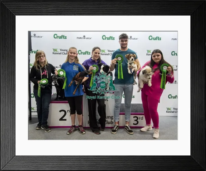 Framed Print : Crufts 2019 - Day Four, NEC, UK - 10 Mar 2019 Framed Print : Crufts 2019 - Day Four, NEC, UK - 10 Mar 2019