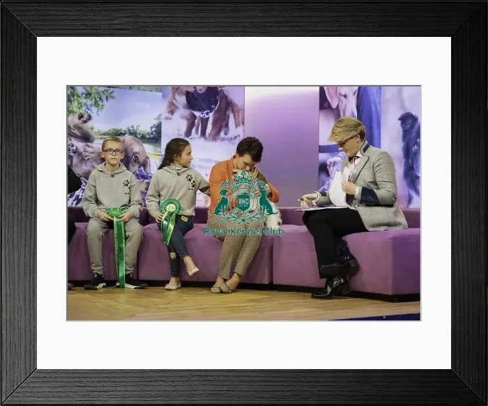Framed Print : Crufts 2019 - Day Three, NEC, UK - 9 Mar 2019 Framed Print : Crufts 2019 - Day Three, NEC, UK - 9 Mar 2019
