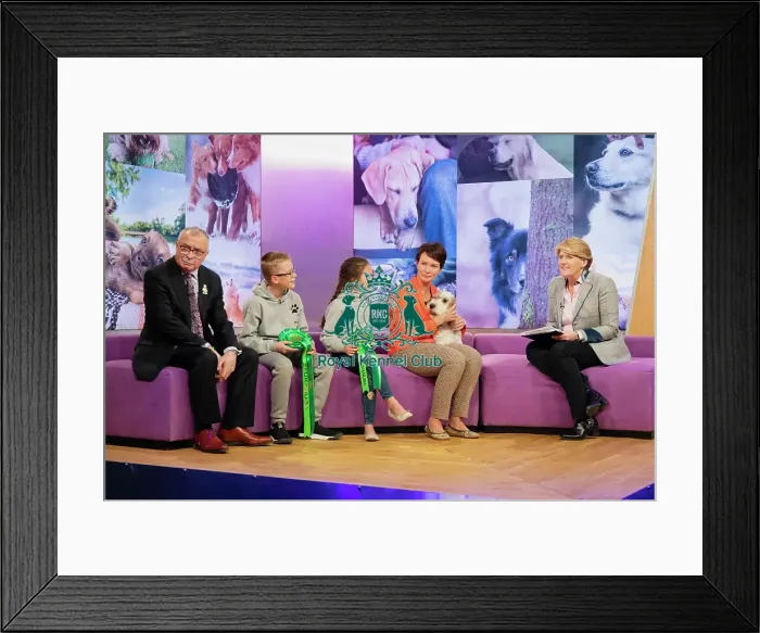Framed Print : Crufts 2019 - Day Three, NEC, UK - 9 Mar 2019 Framed Print : Crufts 2019 - Day Three, NEC, UK - 9 Mar 2019