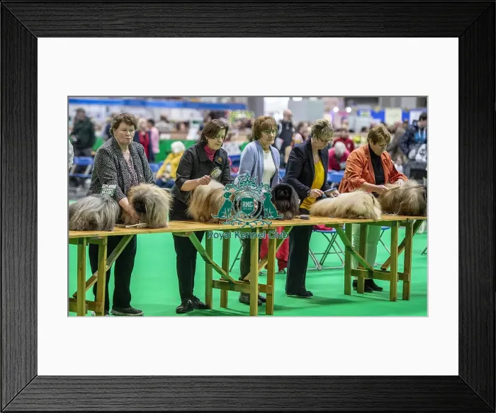 Framed Print : Crufts 2019 - Day Four, NEC, UK - 10 Mar 2019