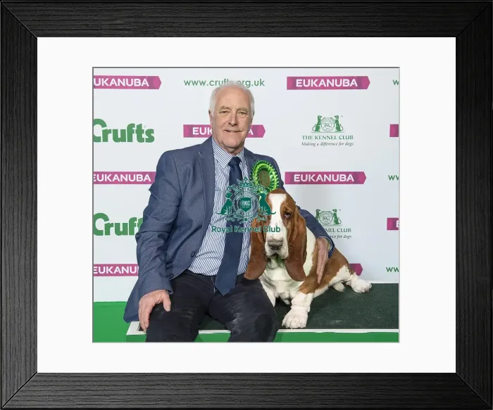 Framed Print : Crufts 2019 - Best of Breed / Hound Framed Print : Crufts 2019 - Best of Breed / Hound