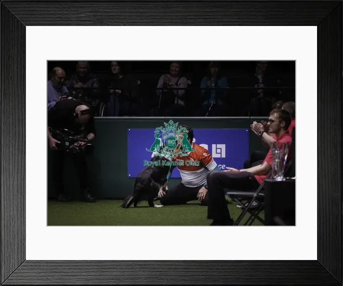 Framed Print : Crufts 2019 - Day Three, NEC, UK - 9 Mar 2019 Framed Print : Crufts 2019 - Day Three, NEC, UK - 9 Mar 2019