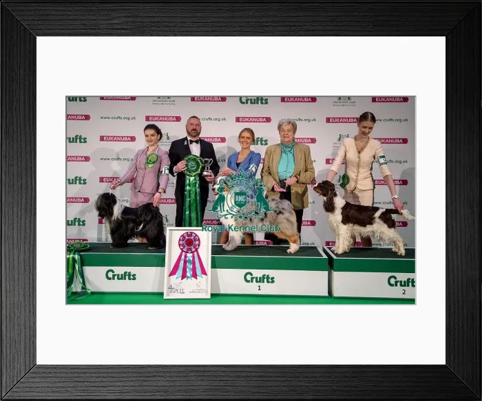 Framed Print : Crufts 2019 - Day Three, NEC, UK - 9 Mar 2019 Framed Print : Crufts 2019 - Day Three, NEC, UK - 9 Mar 2019
