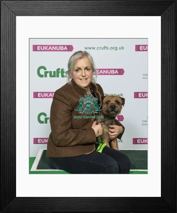 Framed Print : Crufts 2019 - Best of Breed  /  Terrier