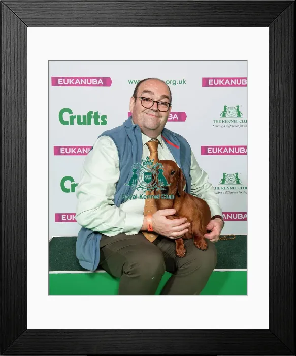 Framed Print : Crufts 2019 - Best of Breed / Hound Framed Print : Crufts 2019 - Best of Breed / Hound