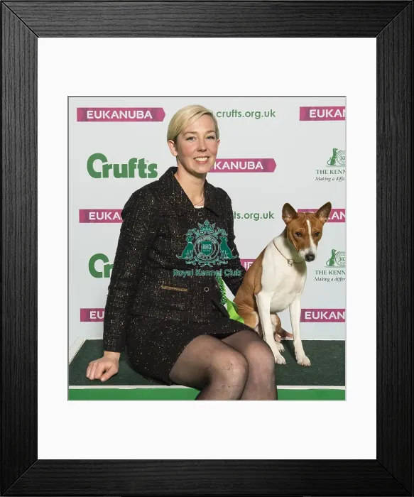 Framed Print : Crufts 2019 - Best of Breed / Hound Framed Print : Crufts 2019 - Best of Breed / Hound