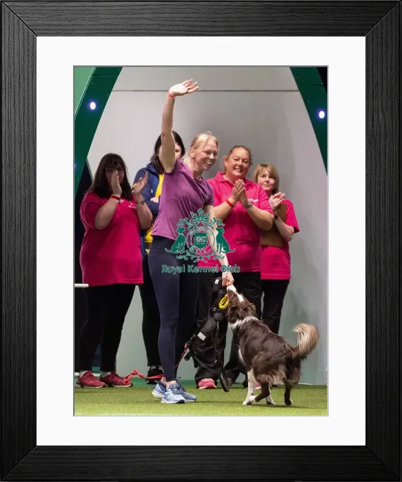 Framed Print : Crufts 2019 - Day Three, NEC, UK - 9 Mar 2019 Framed Print : Crufts 2019 - Day Three, NEC, UK - 9 Mar 2019