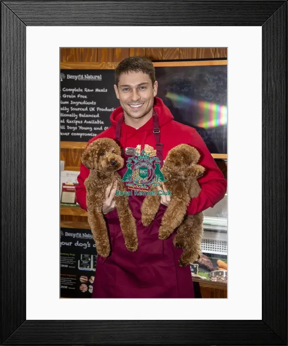 Framed Print : Crufts 2019 - Day Three, NEC, UK - 9 Mar 2019 Framed Print : Crufts 2019 - Day Three, NEC, UK - 9 Mar 2019