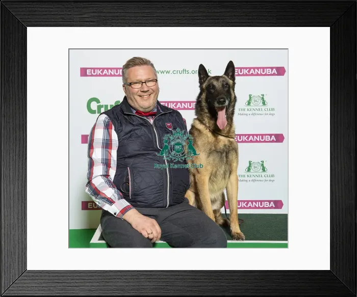 Framed Print : Crufts 2019 - Best of Breed / Pastoral Framed Print : Crufts 2019 - Best of Breed / Pastoral