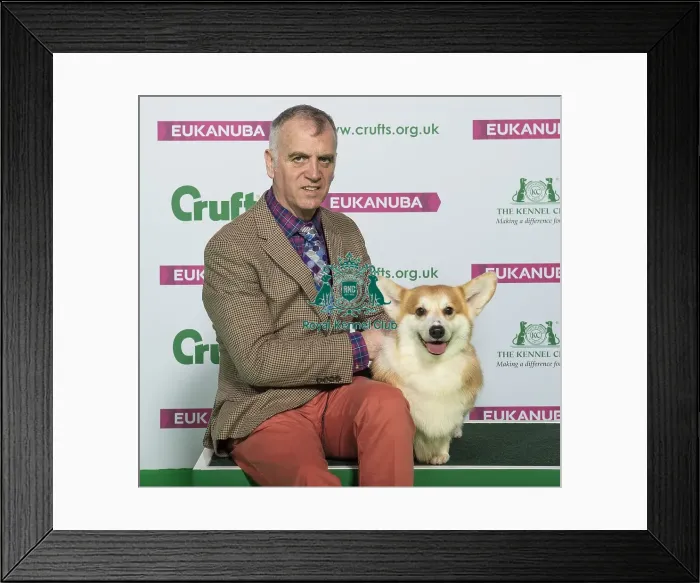 Framed Print : Crufts 2019 - Best of Breed / Pastoral Framed Print : Crufts 2019 - Best of Breed / Pastoral