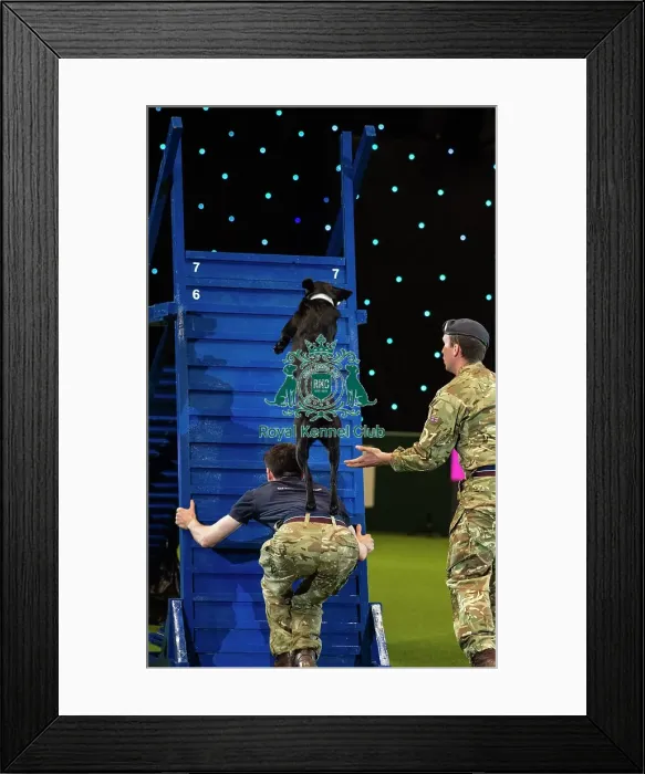 Framed Print : Crufts 2019 - Day Three, NEC, UK - 9 Mar 2019