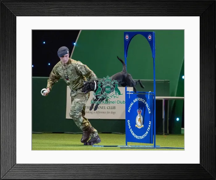 Framed Print : Crufts 2019 - Day Three, NEC, UK - 9 Mar 2019 Framed Print : Crufts 2019 - Day Three, NEC, UK - 9 Mar 2019
